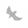 Crow Storm